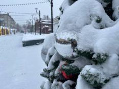 ИА "Тюменская линия"