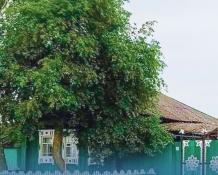 администрация Тобольского района