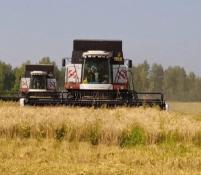 Telegram-канал Игоря Власова