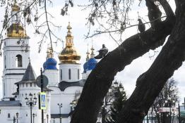 Сергей Елесин, ИА "Тюменская линия"