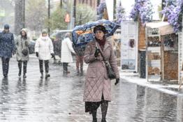 Сергей Елесин, ИА "Тюменская линия"
