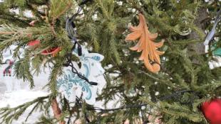 Инна Пахомова, ИА "Тюменская линия"