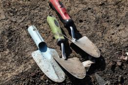 Сергей Елесин, ИА Тюменская линия