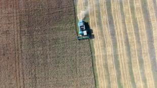 Виктор Сергеев, ИА "Тюменская линия"
