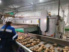 ИА "Тюменская линия"