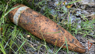 Росгвардии по Тюменской области