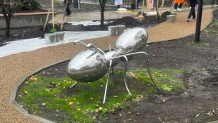 Юлия Божок, ИА "Тюменская линия"