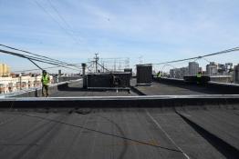 Сергей Елесин, ИА "Тюменская линия"