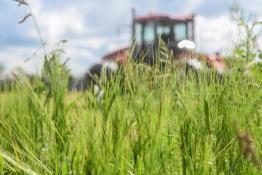 Сергей Елесин, ИА "Тюменская линия"