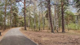 Юлия Божок, ИА "Тюменская линия"