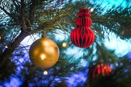 Сергей Елесин, ИА "Тюменская линия"