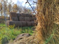 ИА "Тюменская линия"