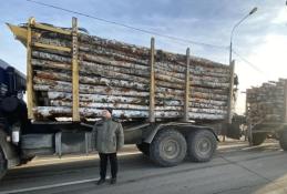 департамент лесного комплекса Тюменской области