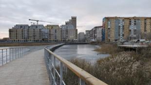 Инна Пахомова, ИА "Тюменская линия"