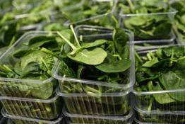 Сергей Елесин, ИА "Тюменская линия"