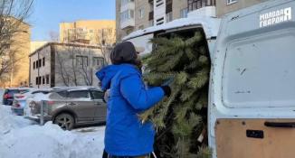 Тюменской городской думы