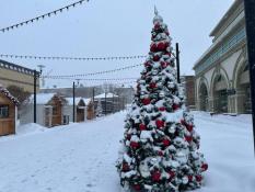 ИА "Тюменская линия"