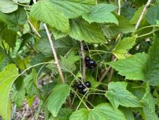 администрации Уватского района