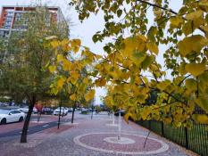 ИА "Тюменская линия"