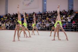 Федерация художественной гимнастики "НИКА"