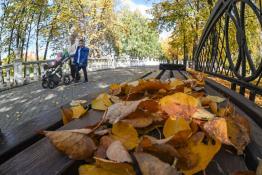 Сергей Елесин, ИА "Тюменская линия"