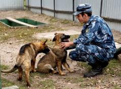 УФСИН России по Тюменской области