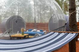 Сергей Елесин, ИА "Тюменская линия"
