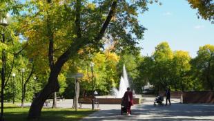 ИА "Тюменская линия"