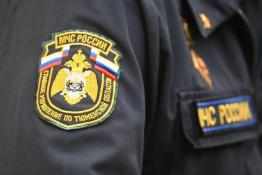 Сергей Елесин, ИА "Тюменская линия"