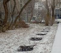 администрация Тюмени