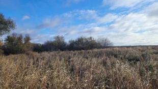 управление Россельхознадзора по Тюменской области, ЯНАО и ХМАО - Югре