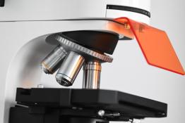 Сергей Елесин, ИА "Тюменская линия"
