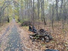 администрация Тюмени