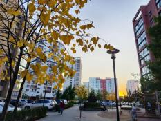 ИА "Тюменская линия"