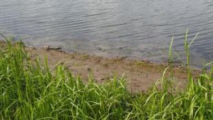 ИА "Тюменская линия"