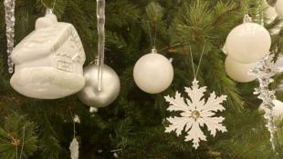 Инна Пахомова, ИА "Тюменская линия"