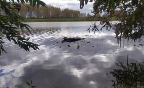 СУ СК России по Тюменской области