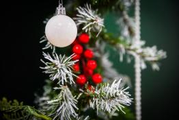 Сергей Елесин, ИА "Тюменская линия"