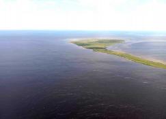 Тюменский филиал ВНИРО