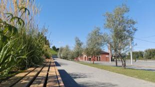 Инна Пахомова, ИА "Тюменская линия"