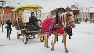 Инна Пахомова, ИА "Тюменская линия"