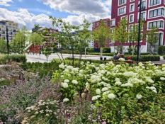 ИА "Тюменская линия"