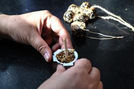 Сергей Елесин, ИА "Тюменская линия" (архив)