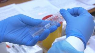 ИА "Тюменская линия"