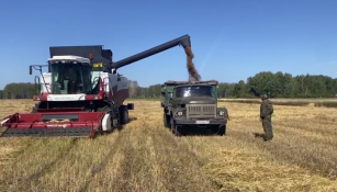 скриншот видео из Telegram-канала главы Сладковского округа Александра Иванова