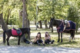 Сергей Елесин