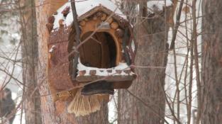 ИА "Тюменская линия"