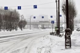 Сергей Елесин, ИА Тюменская линия