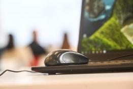 Сергей Елесин, ИА "Тюменская линия"