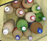 управление Россельхознадзора по Тюменской области, ЯНАО и ХМАО - Югре